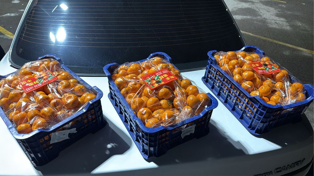 Мандарины Каскелен