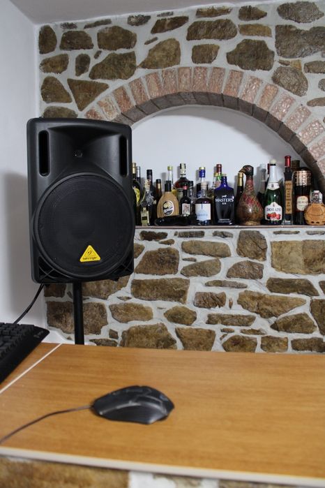 Boxe profesionale behringer