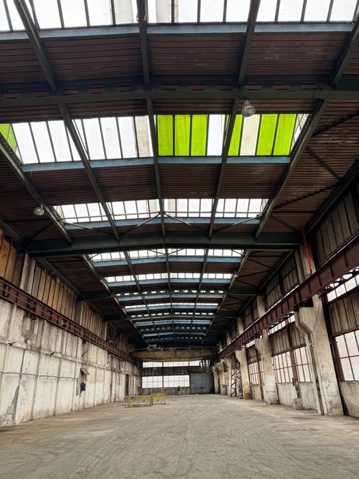 Hala de vanzare sau inchiriere in Filipesti de Padure.