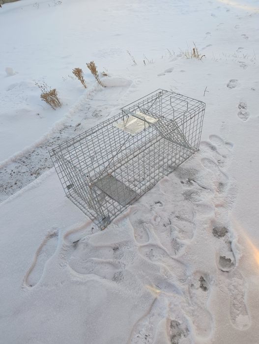 Капкан, ловушка для животных