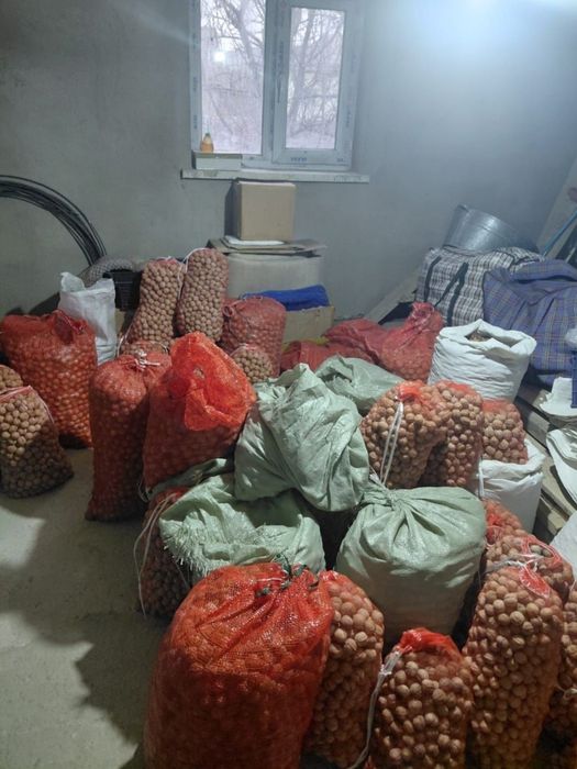 Греческие орехи местные