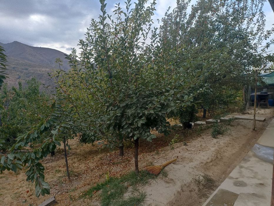 Uy sotiladi Toshkent viloyati Parkent