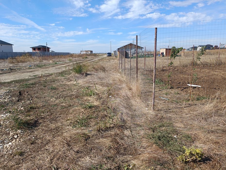 Teren intravilan 919 m² – Dobreni (Berceni) – doar 31 euro