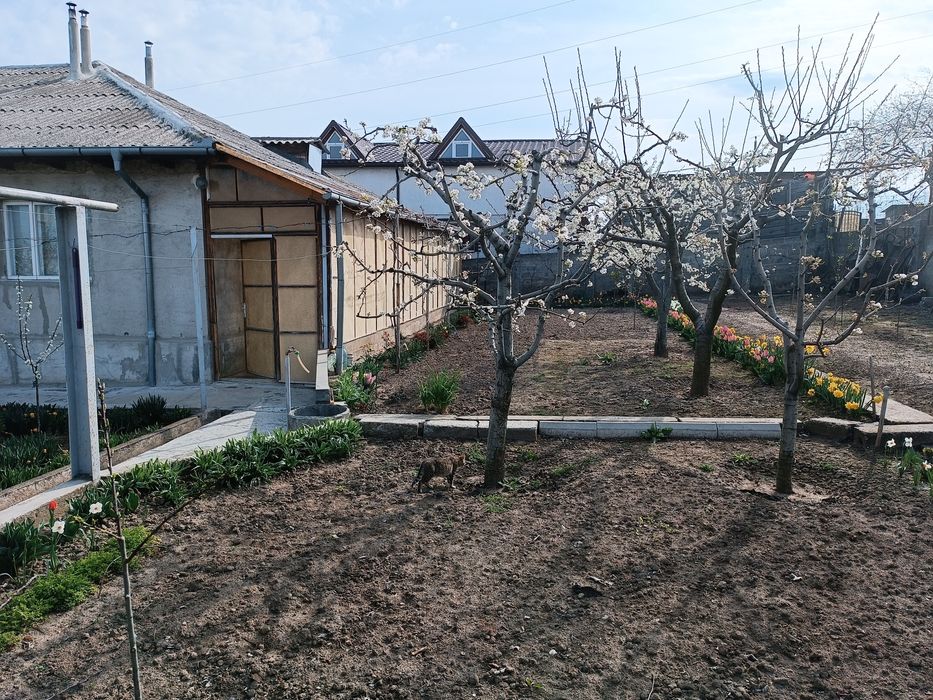 Casa  de  vanzare