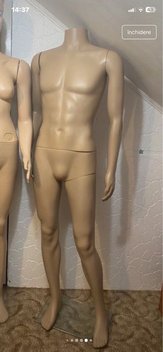 Manechin intreg barbat, demontabil