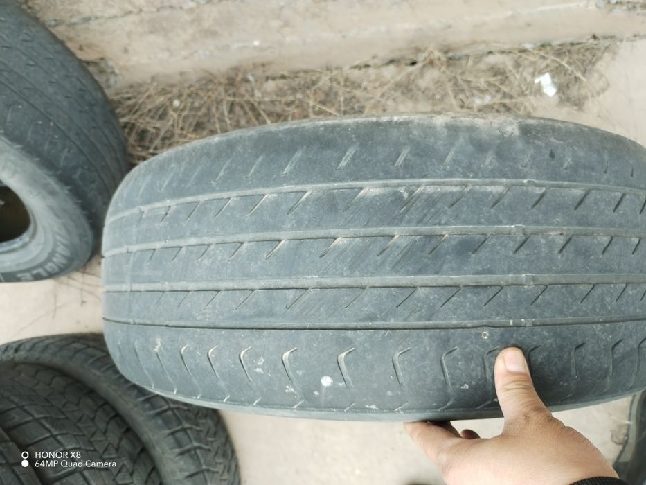 Шины летние  Traingle