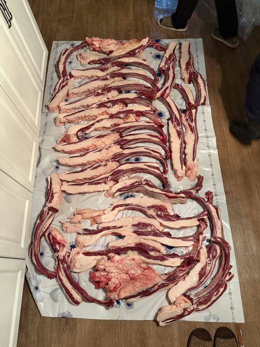 Продаем Соғым конина откормленные