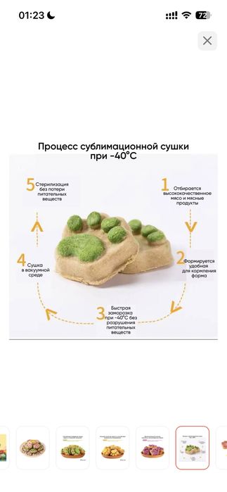 Новые вещи собаки/кошки