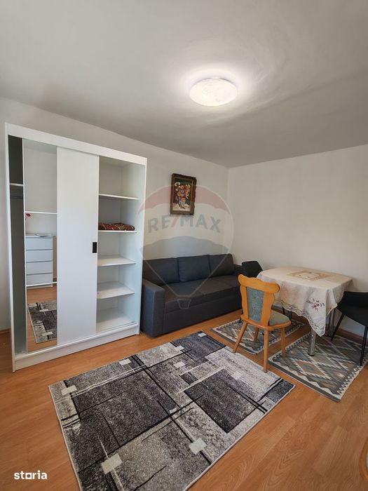 Garsonieră spațioasă cu balcon mare, Brazda, etaj 1
