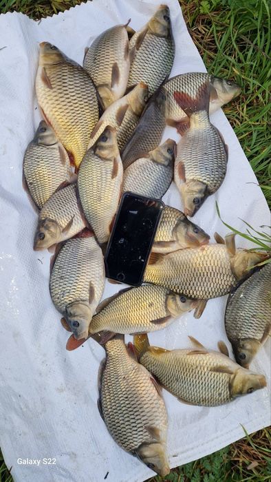 Заребителен материал-шаран