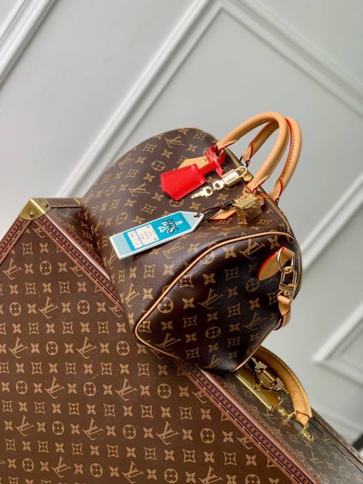 Geanta Louis Vuitton Speedy 30