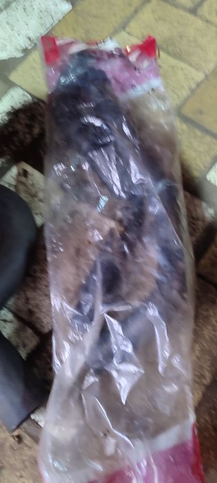 Запчасти на Рено