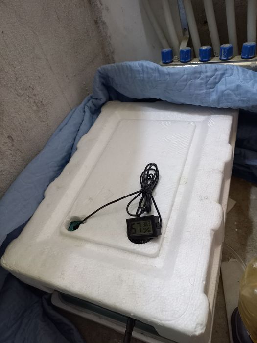 Инкубатор сотилади 36 товук тухум завот автомат 220-12 v