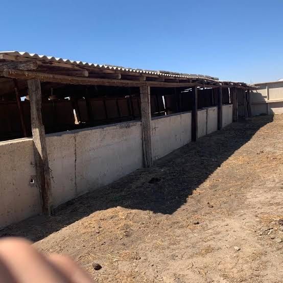 Мал қора тазалаймыз