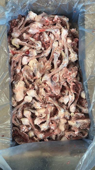 Куринные кости от окорачка