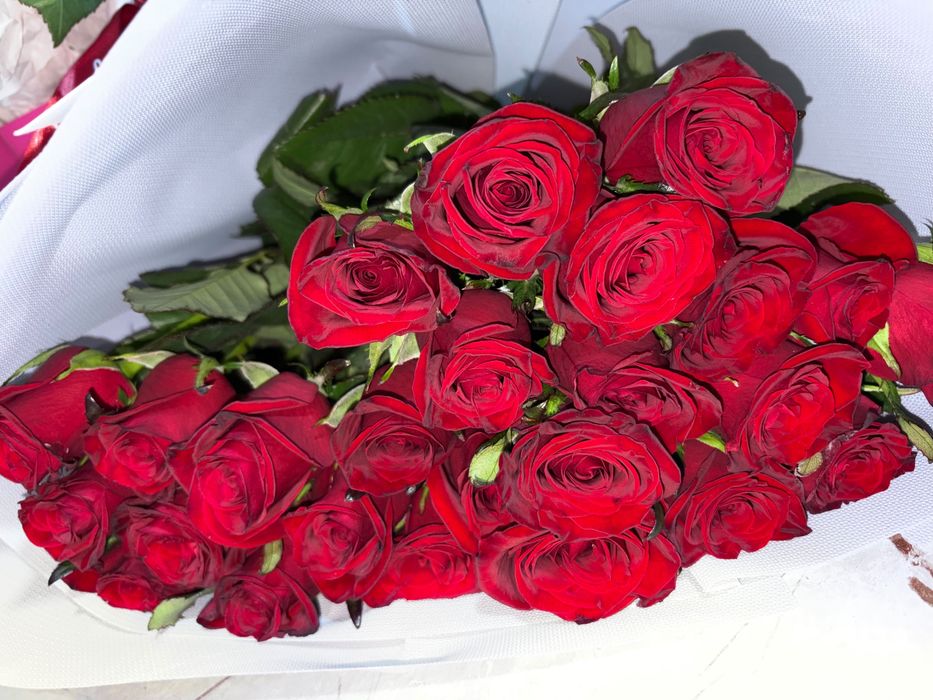 Продам Букет из 25 красных роз