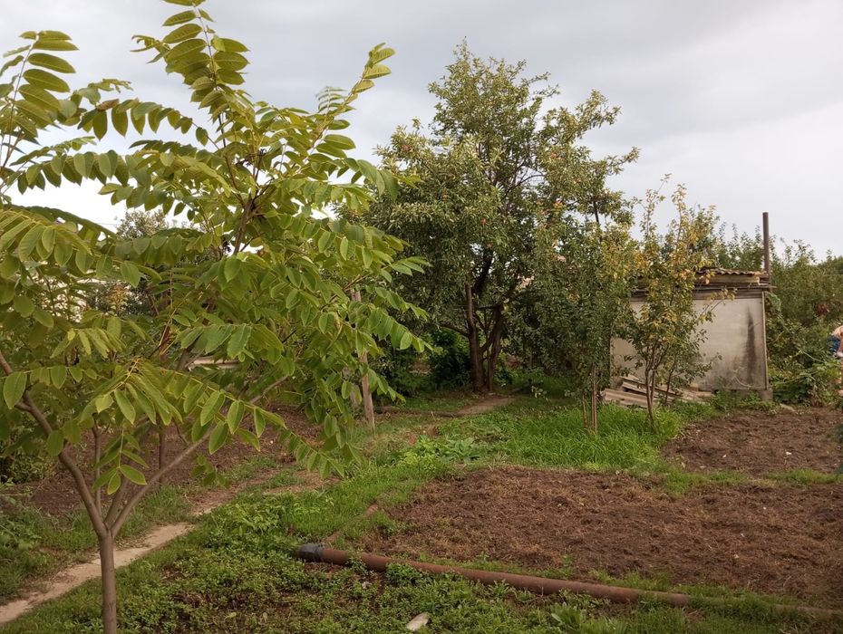 Дача  общество Вишенка 1