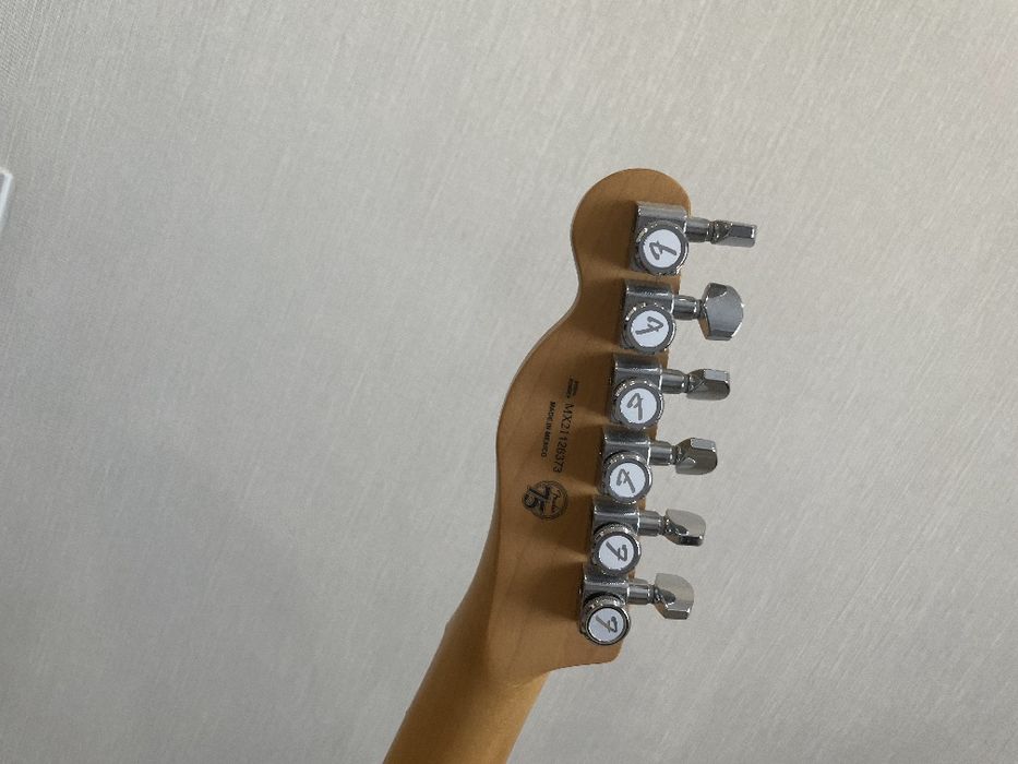 Fender player telecaster plus