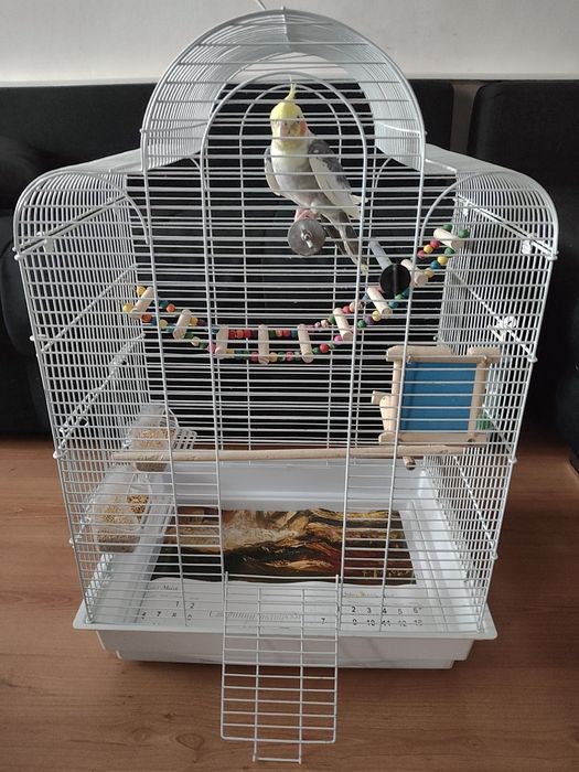Клетка с папагал КОРЕЛА