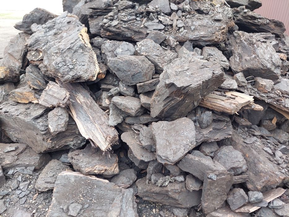Carbuni lignit sortati