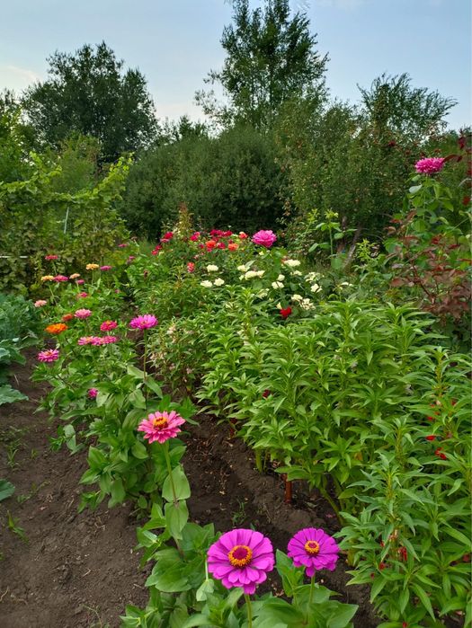 Продам дачу за Кривым озером