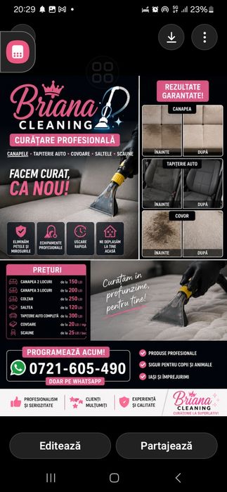 Curatare profesionala