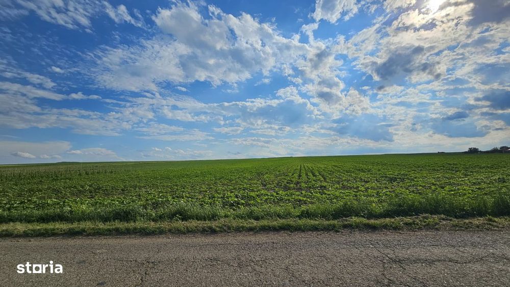 Teren Intravilan 29.800 Mp Cu Puz Rezidențial – Intre Vorovesti Si