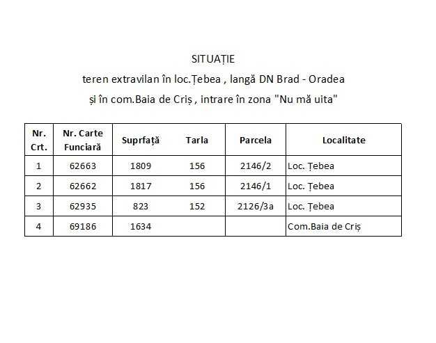 Teren extravilan in Tebea si Baia de Cris langa soseaua principala DN Brad - Oradea