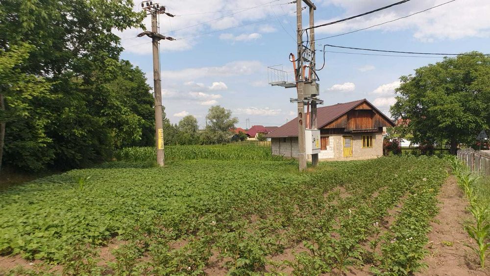 Teren + casa de vanzare