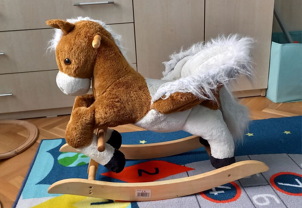 Люлеещо се конче