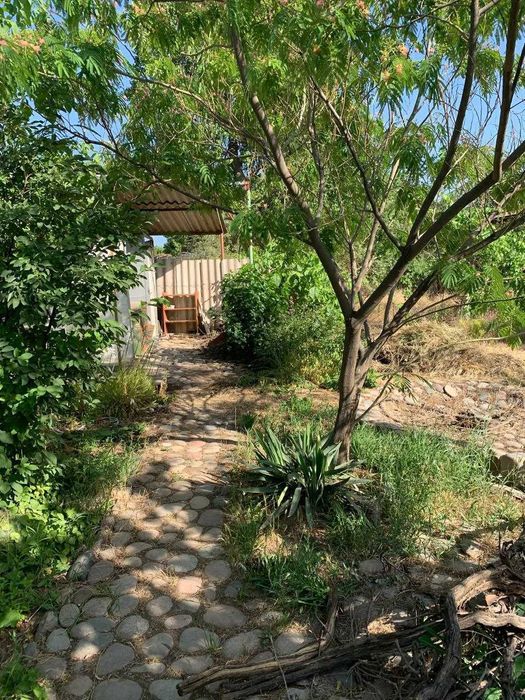 СРОЧНО!!! ПРОДАМ дачу. Подробности в описании.