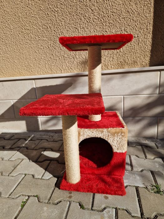 Котешка катерушка