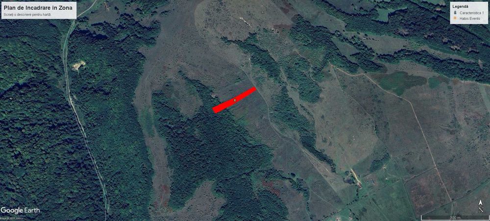 Teren de vanzare Targu Lapus