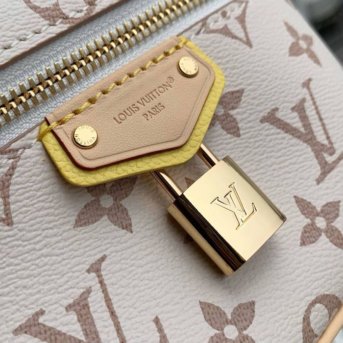 Geanta Louis Vuitton Vanity Pouch