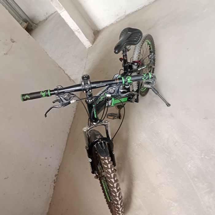 Velosped ardis holati yangi