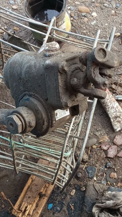 Газель рулавая с