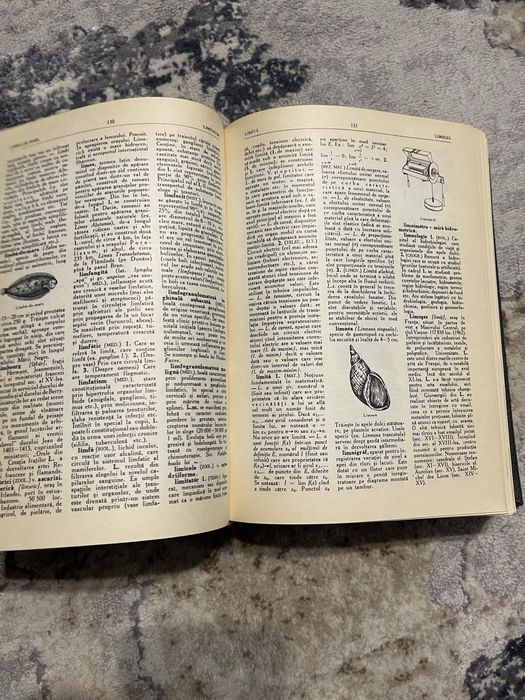 Dictionar enciclopedic Român 1962 cu ilustrații