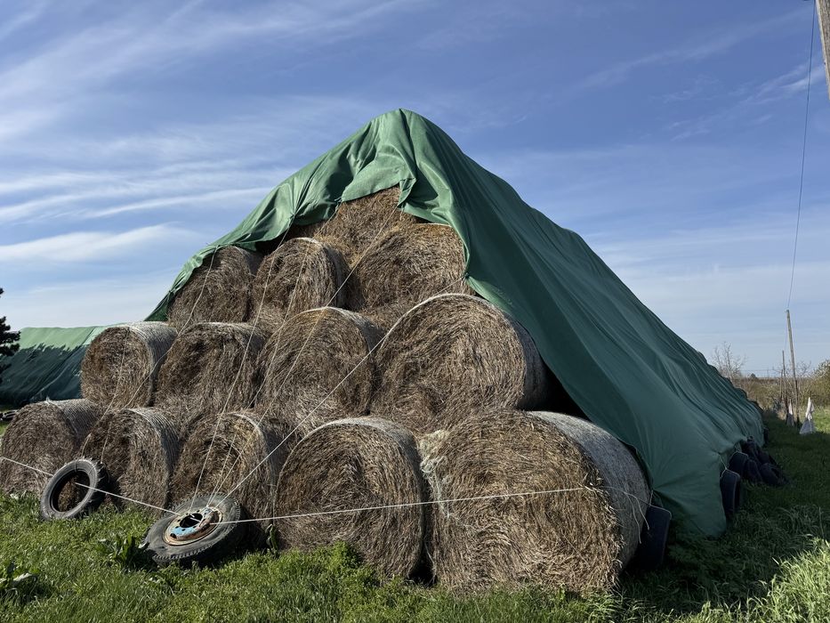Baloți din paie de grâu