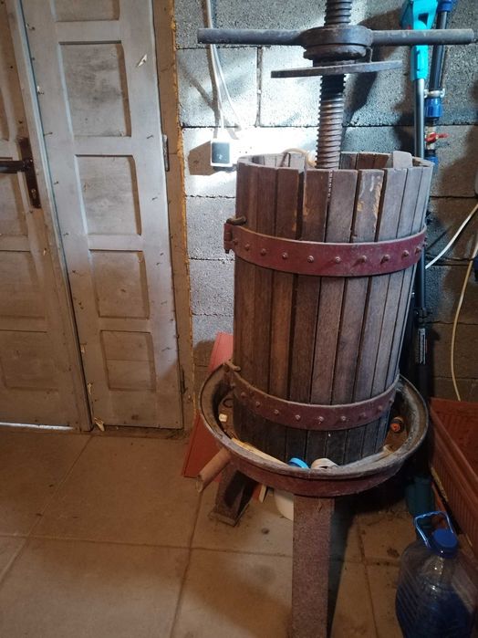 Teasc struguri sasesc