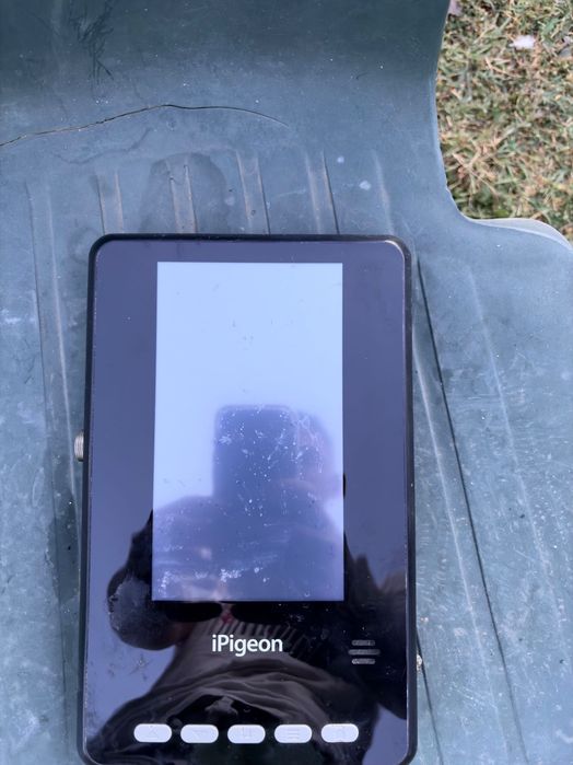 Ceas Top pigeon V8