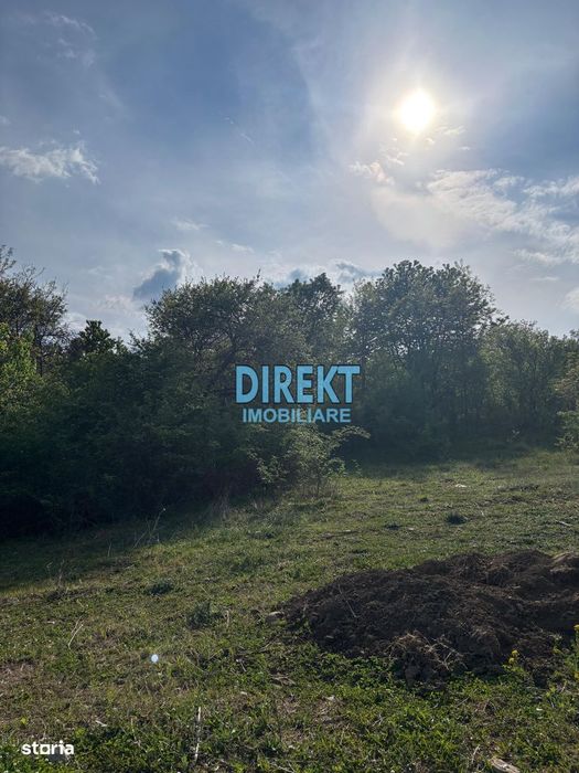 Teren Intravilan Strada Tărpiului