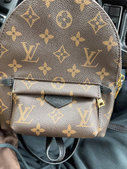 Louis Vuitton  Palm Spring Backpakt mini monogram