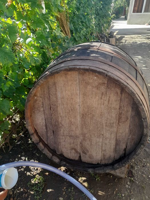Butoi vin 45 litri.