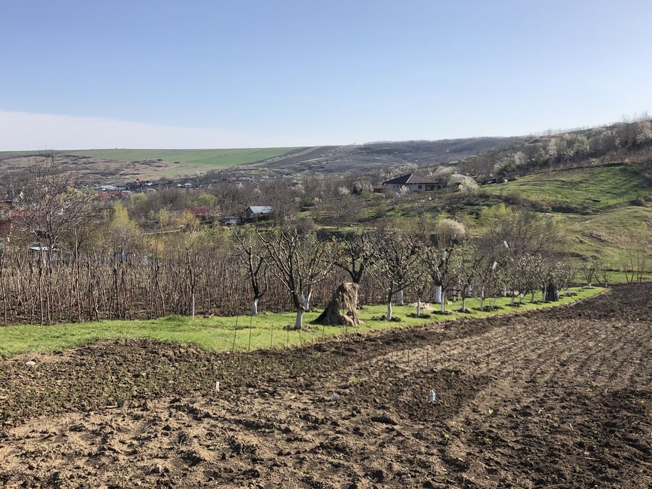 Teren Miroslava-Sat Vorovesti(gaz-curent-asfalt-apa)-INTRAVILAN-