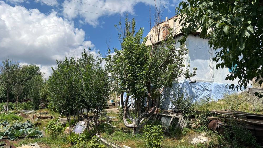 Дача 6 соток ЛУЧ