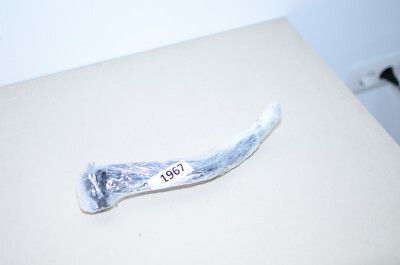 B325 2012 11-14 Ducati Diavel Scarita dreapta spate pasager OEM