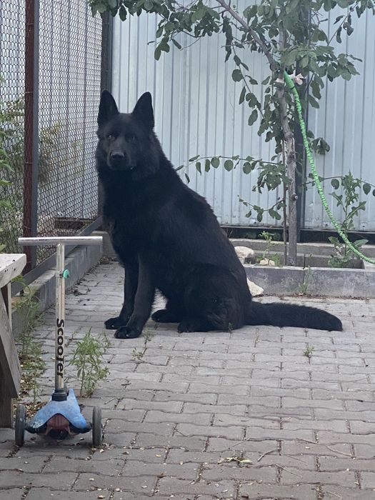 Вязка Кабель 6 лет. Бесплатно.