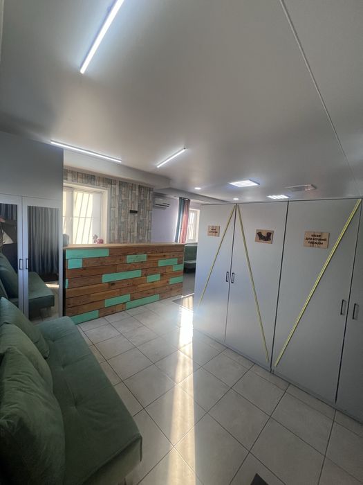 Действующий бизнес (студия, аниматоры)