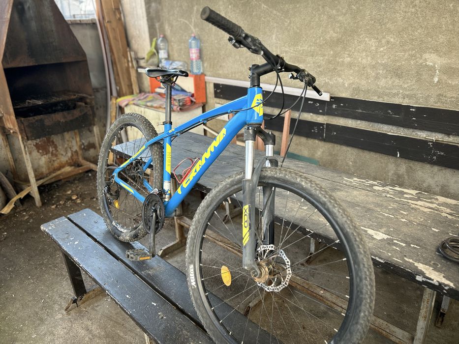 Vand URGENT bicicleta teranna dhs