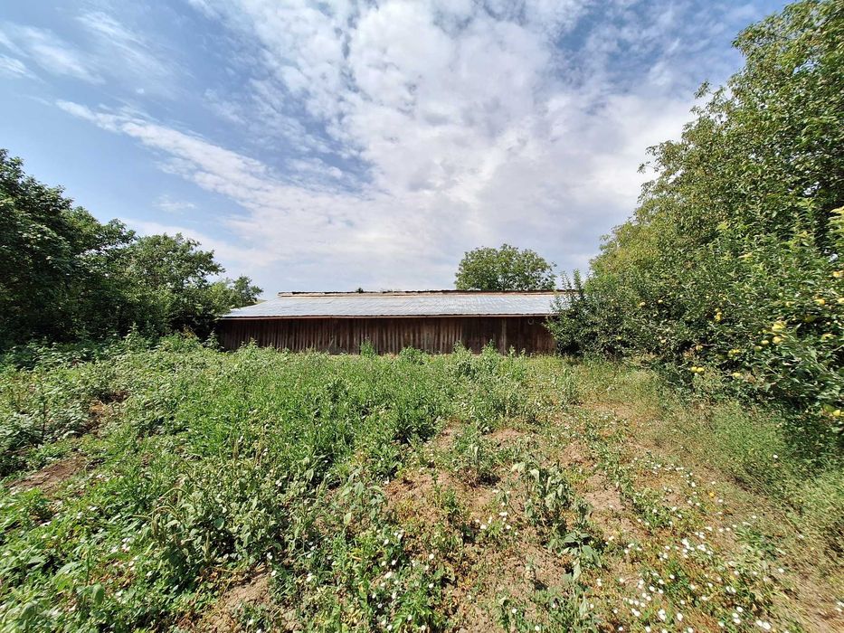 Saivan 480 mp + fanar + coșer + teren intravilan – utilat, curent, Cenade Alba